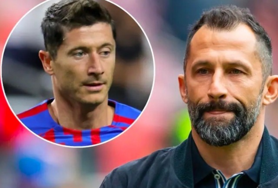 现的他便引 现的他便引